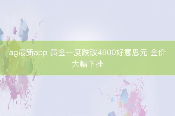 ag最新app 黄金一度跌破4900好意思元 金价大幅下挫