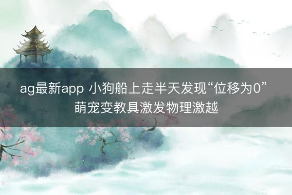 ag最新app 小狗船上走半天发现“位移为0” 萌宠变教具激发物理激越